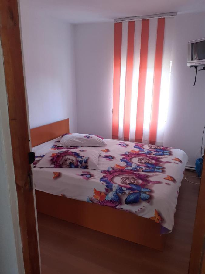Hotel Casa Denisa Vidraru Transfgarasan Căpăţîneni-Ungureni Exterior foto
