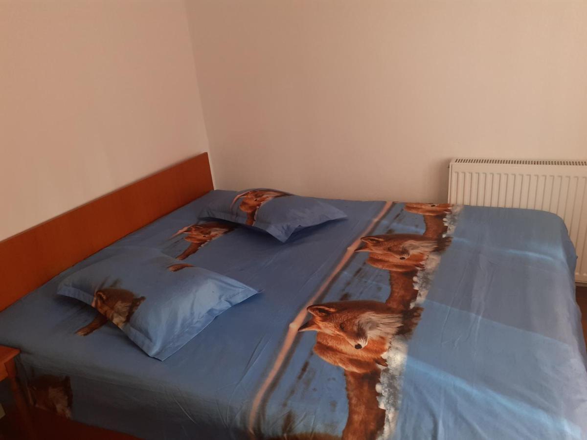 Hotel Casa Denisa Vidraru Transfgarasan Căpăţîneni-Ungureni Exterior foto