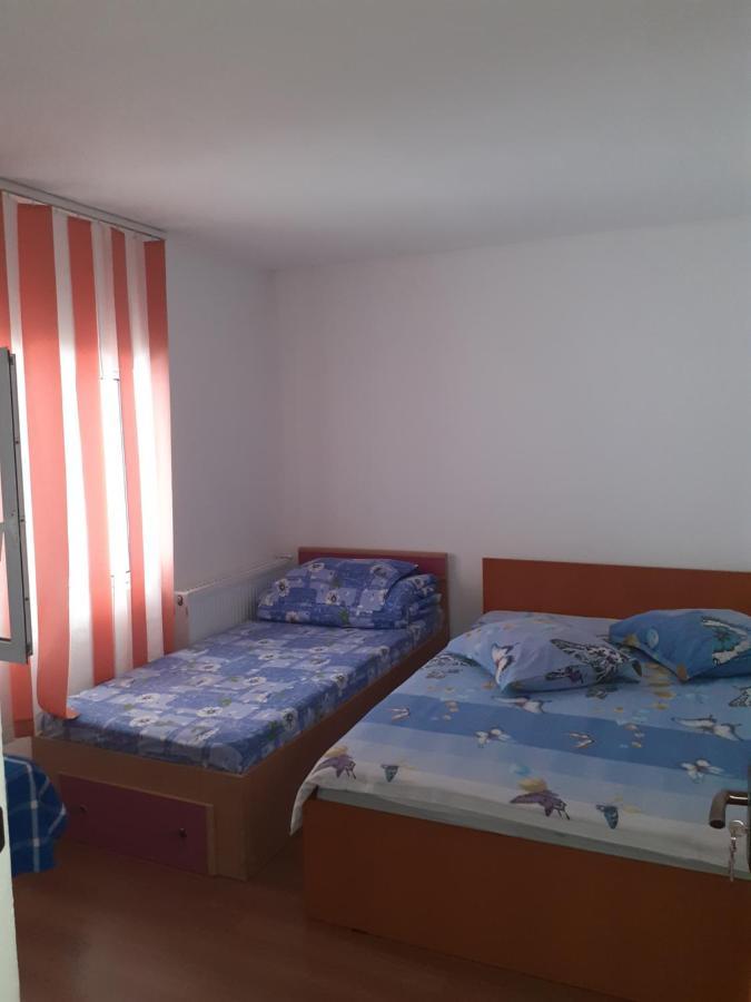 Hotel Casa Denisa Vidraru Transfgarasan Căpăţîneni-Ungureni Exterior foto