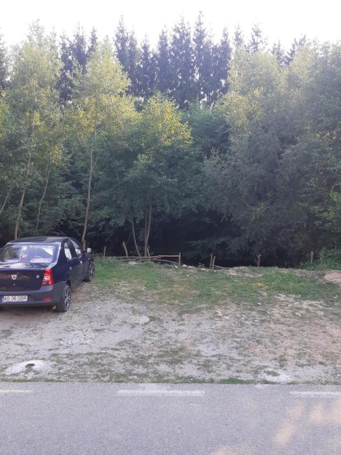 Hotel Casa Denisa Vidraru Transfgarasan Căpăţîneni-Ungureni Exterior foto
