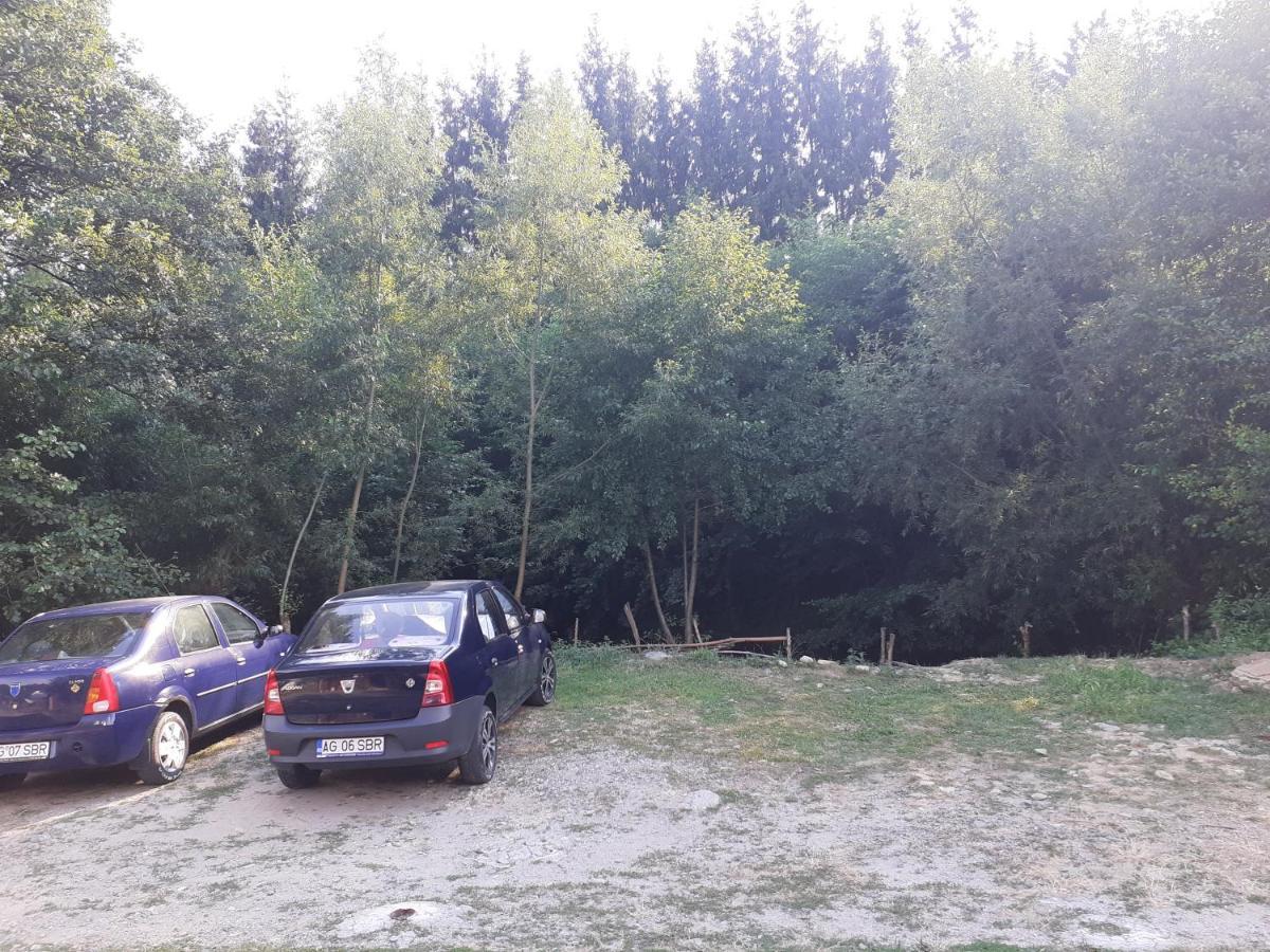 Hotel Casa Denisa Vidraru Transfgarasan Căpăţîneni-Ungureni Exterior foto