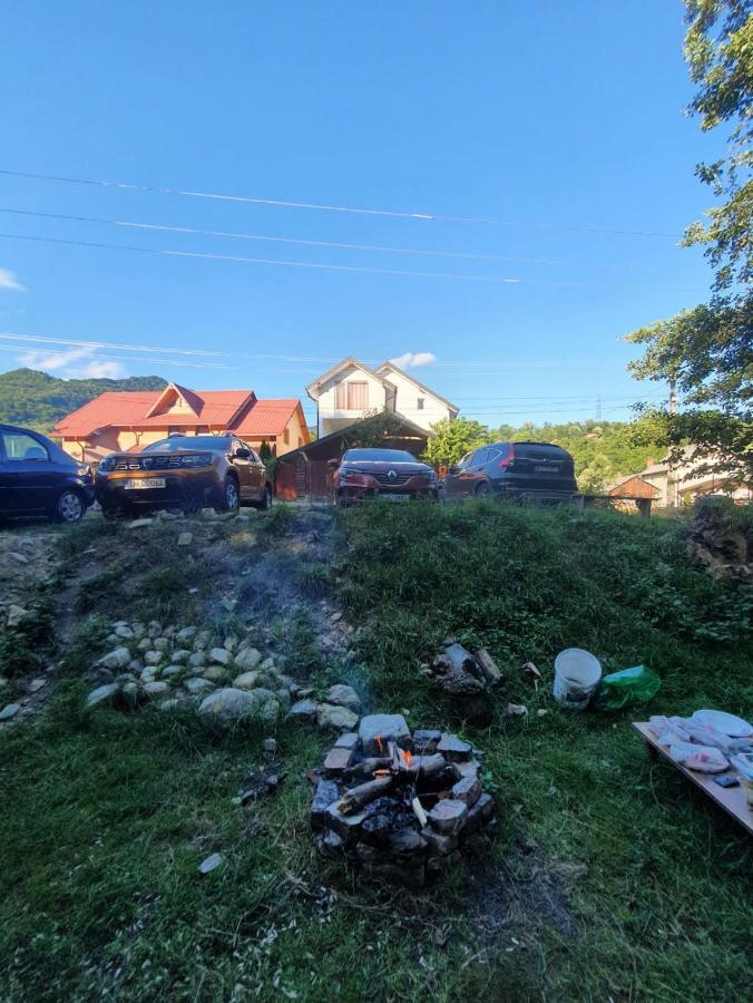 Hotel Casa Denisa Vidraru Transfgarasan Căpăţîneni-Ungureni Exterior foto