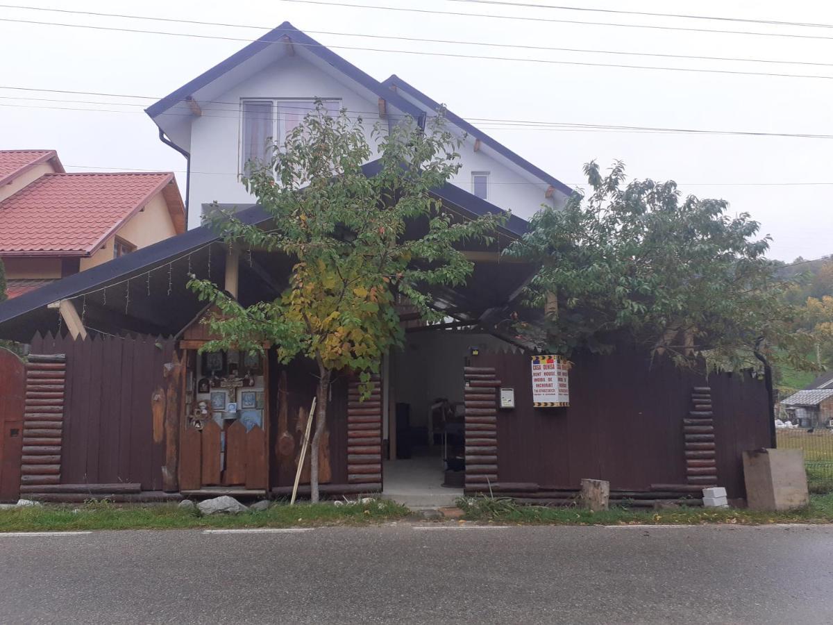Hotel Casa Denisa Vidraru Transfgarasan Căpăţîneni-Ungureni Exterior foto